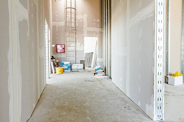 Best Drywall Texturing  in Morenci, AZ